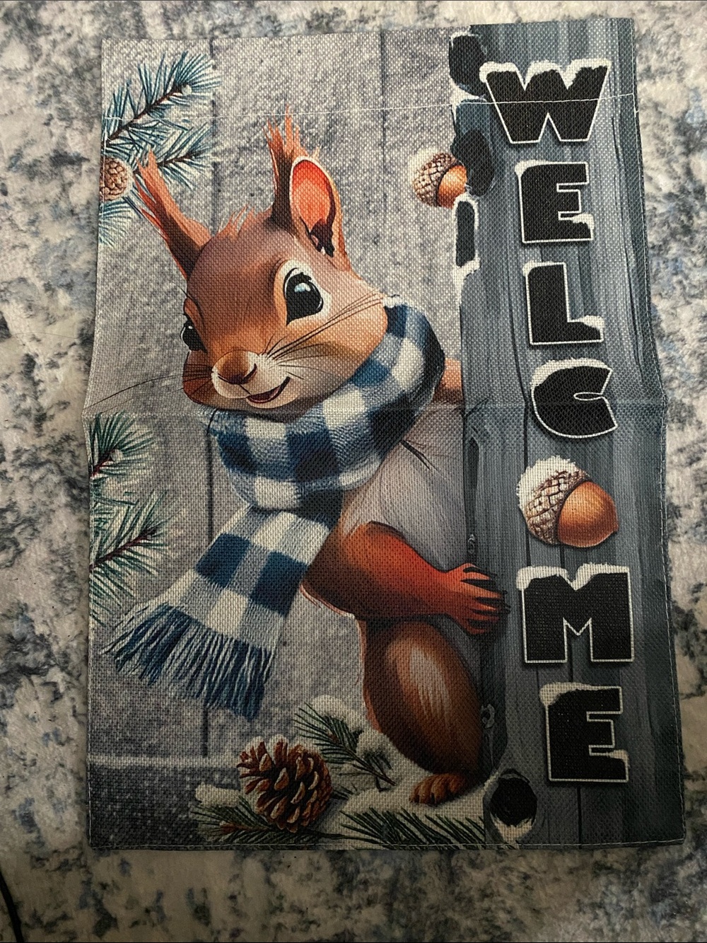 Welcome Squirrel Garden Flag - Blue Plaid Scarf double sided